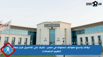 إيقاف واسع لهواتف محمولة في مصر.. تعرف على تفاصيل قرار جهاز تنظيم الاتصالات